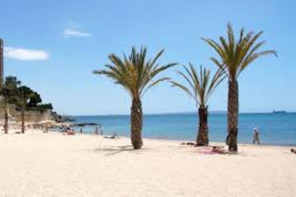 Mi Pequena Bahia Lägenhet Alicante Exteriör bild